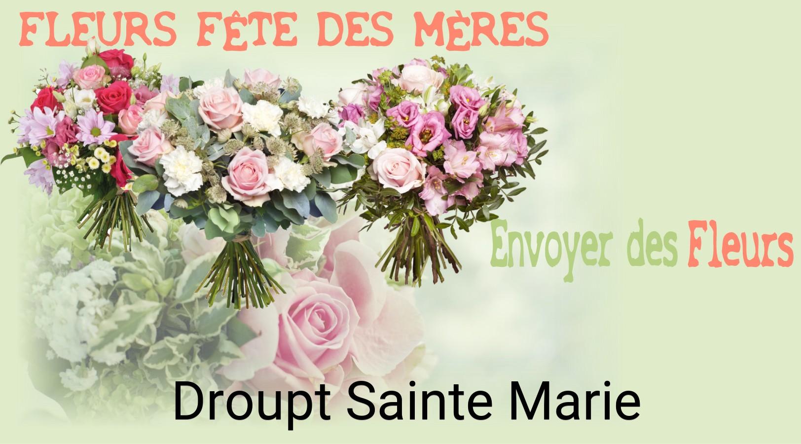 Bouquet de Fête des Mères livré à Droupt-Sainte-Marie